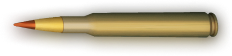 Bullet Level 13